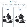 Détails résine 8K Noire Forshape Premium - 1Kg Détails résine 8K Noire Forshape Premium - 1Kg